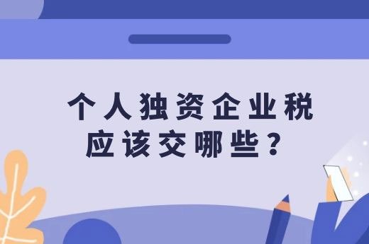 个人独资企业税应该交哪些？-第1张-淳会计