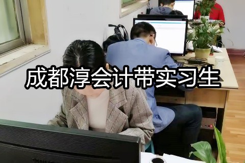 成都淳会计带实习生怎么样?好就业?-第1张-淳会计