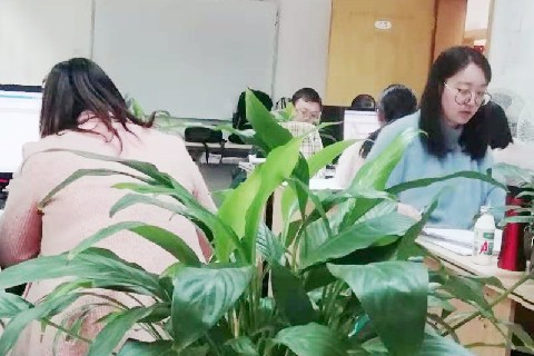 成都会计培训机构那么多!选择哪家会计培训班比较好?-第1张-淳会计