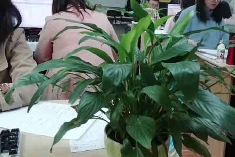 成都会计培训多少钱?学会计有哪些好处?-第1张-淳会计