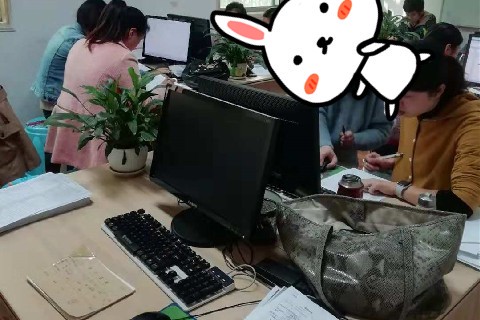 成都会计实操培训班排名怎么查?在哪看?-第1张-淳会计