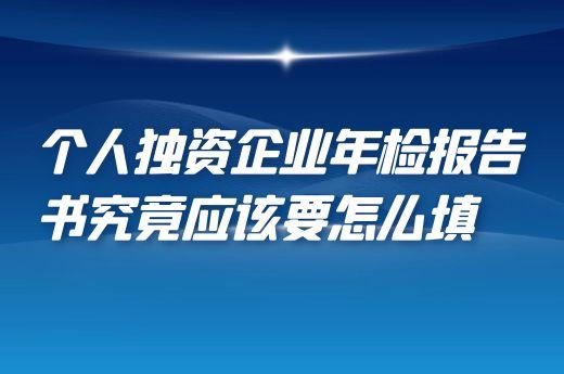 个人独资企业年检报告书究竟应该要怎么填-第1张-淳会计
