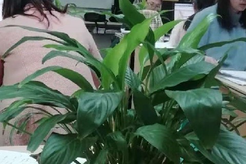 成都会计培训班多少钱?贵不贵呢?-第1张-淳会计