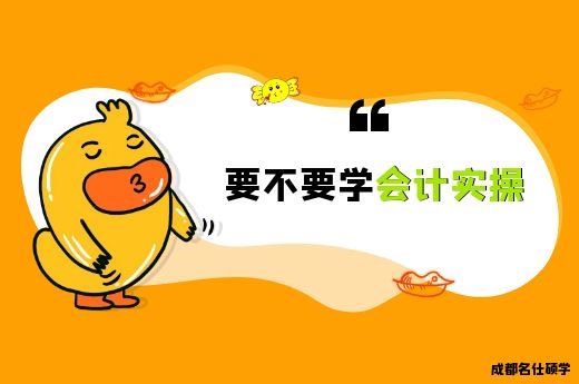 会计实习生要不要学会计实操?-第1张-淳会计