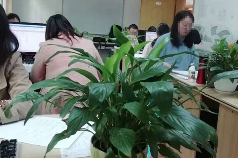 会计不会实操找工作很难?-第1张-淳会计