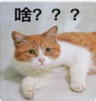 会计需要考哪些证？哪些证没用？-第1张-淳会计