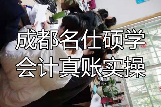 成都学财务会计在哪里报班?-第1张-淳会计