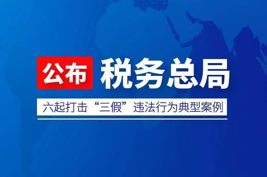 税务总局公布六起打击“三假”违法行为典型案例-第1张-淳会计