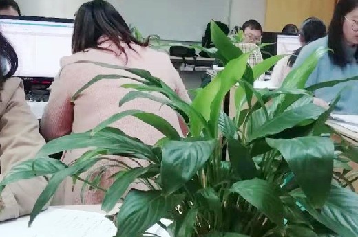 成都哪里有可以培训会计的培训班?-第1张-淳会计