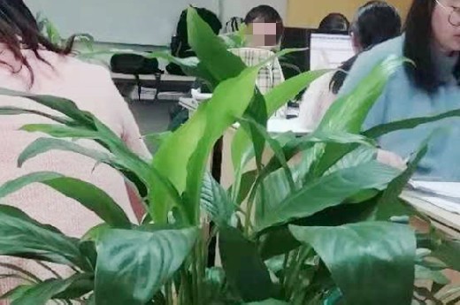 成都会计实账培训班哪家好?-第1张-淳会计