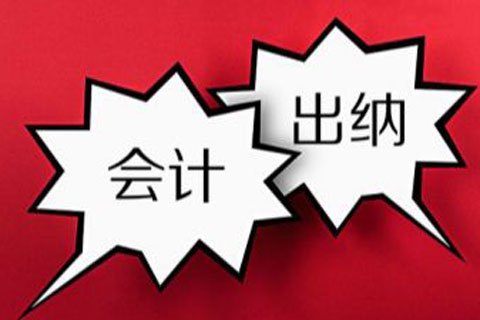 公司的会计和出纳可以是同一个人吗？-第1张-淳会计