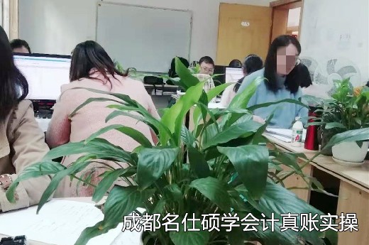 武侯区会计培训哪些进项税额不得抵扣?-第1张-淳会计