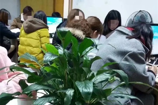 成都会计培训机构有哪些?-第1张-淳会计