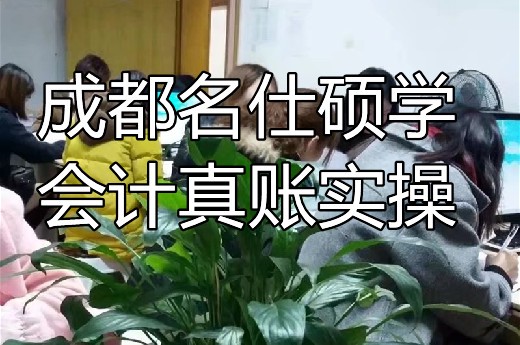 成都会计培训推荐新手没人带怎么办?-第1张-淳会计