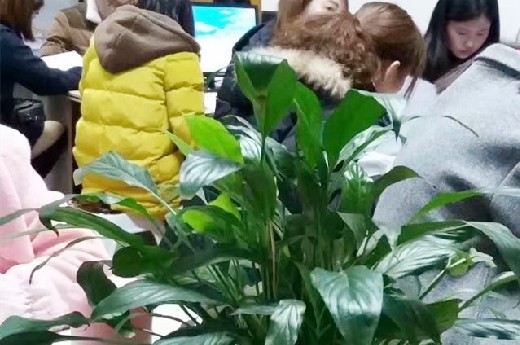 成都会计师培训机构哪家好?出纳想转会计怎么做?-第2张-淳会计